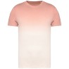 Dip Dye Petal Rose