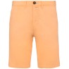 Pastel Apricot