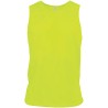 Fluorescent Yellow