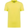 Fluorescent Yellow